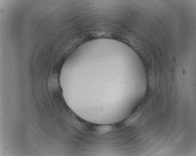 X0000073920085200609082248