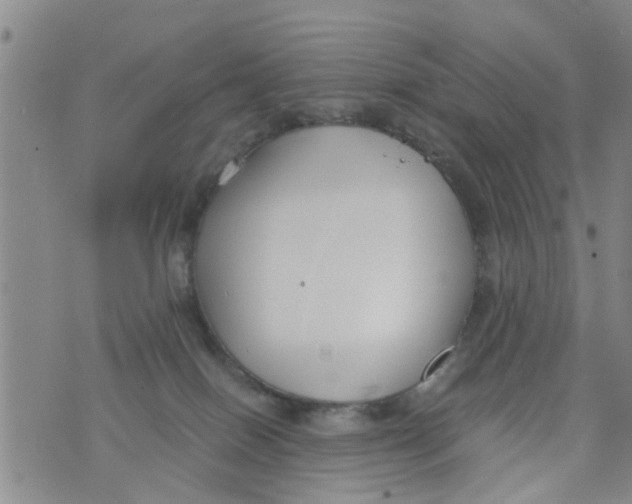 X0000073920086200609082248