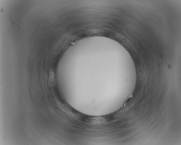 X0000073920087200609082248