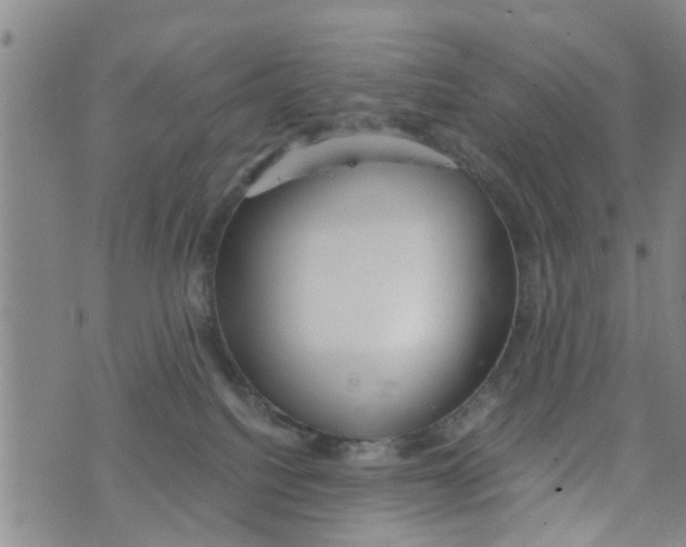 X0000073920088200609082248