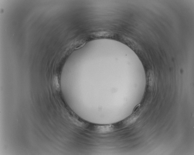 X0000073920089200609082248