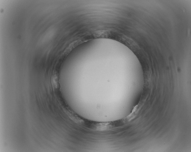 X0000073920090200609082248