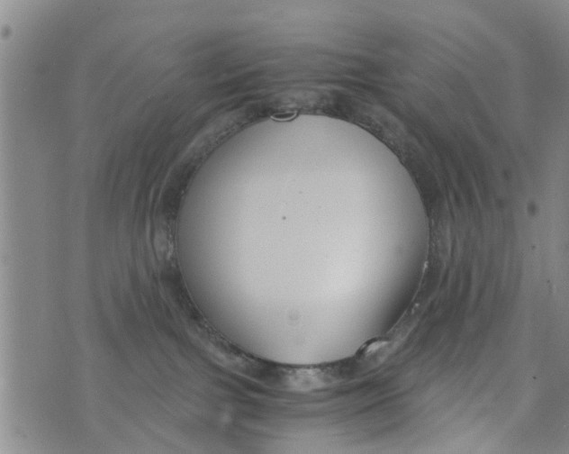 X0000073920091200609082249