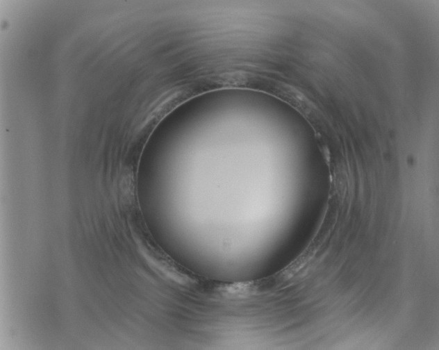 X0000073920092200609082249