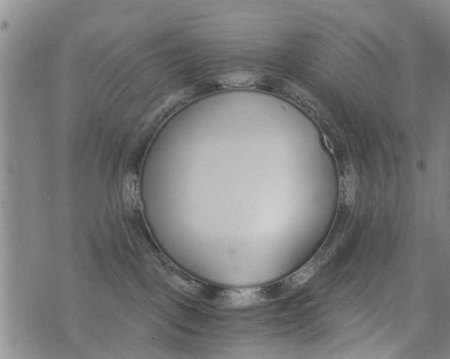 X0000073920093200609082249