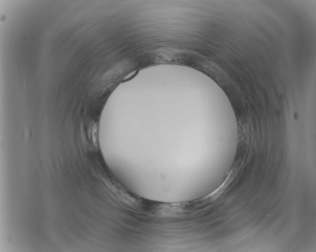 X0000073920094200609082249