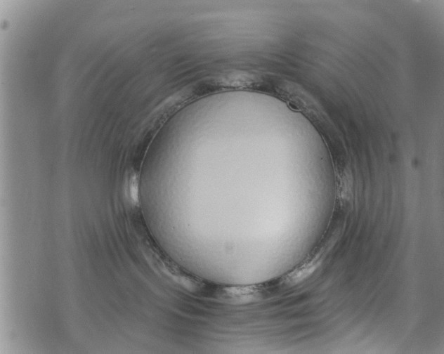 X0000073920095200609082249