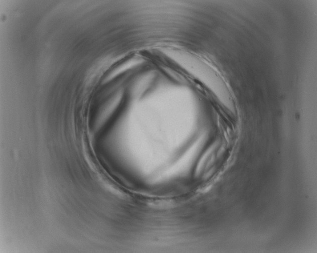 X0000073920097200609082248