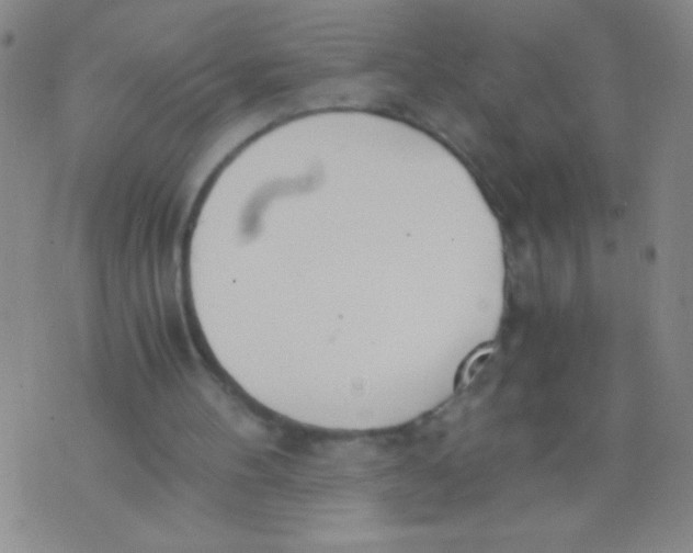 X0000073920100200609082248