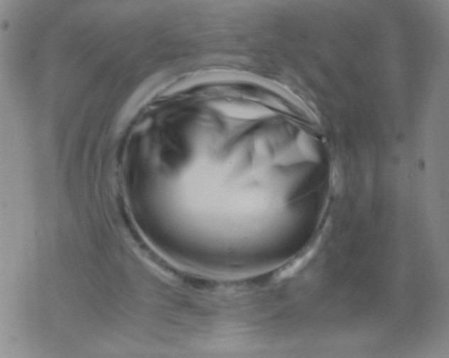 X0000073920101200609082248