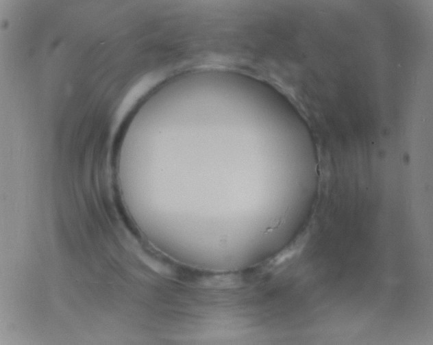 X0000073920102200609082248