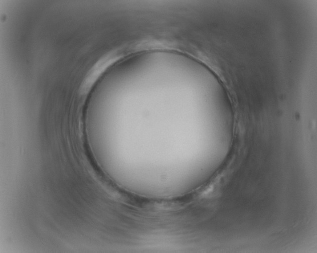 X0000073920103200609082248