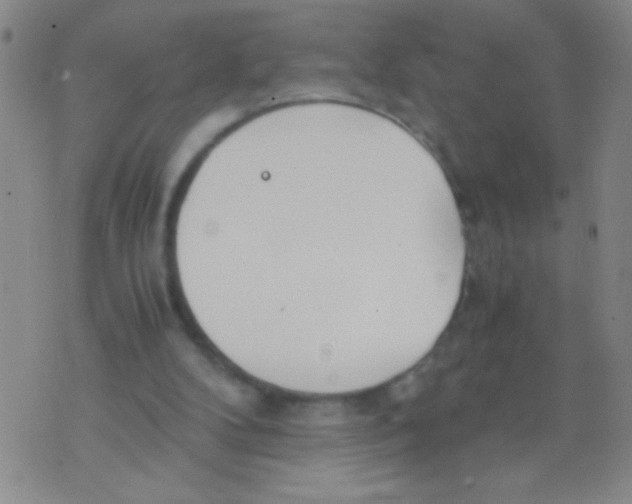 X0000073920104200609082248