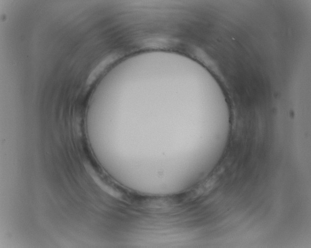 X0000073920106200609082248