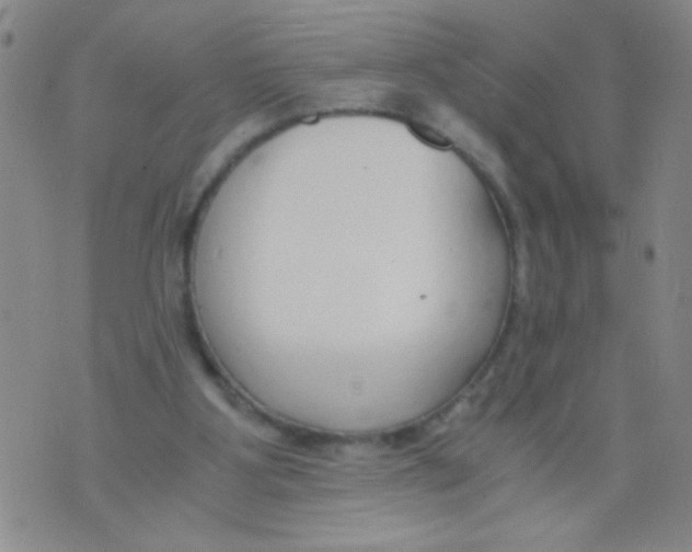 X0000073920107200609082248