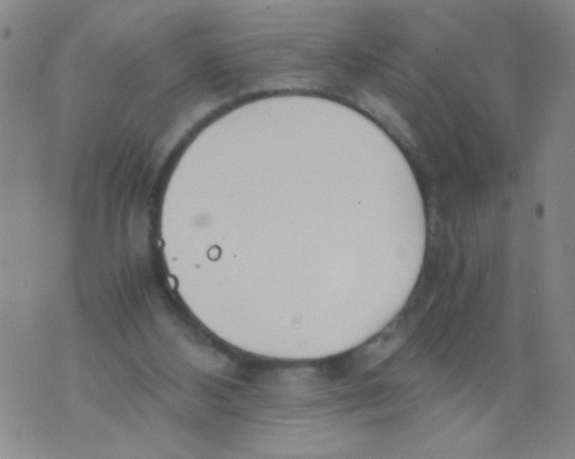 X0000073920108200609082248