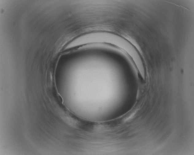 X0000073920109200609082248