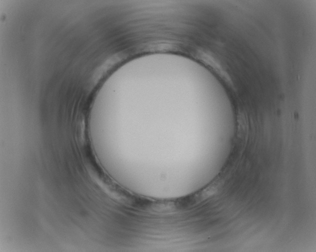 X0000073920110200609082248