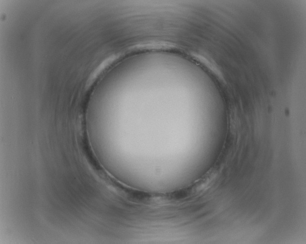 X0000073920111200609082248