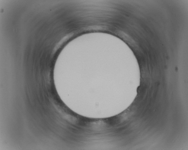 X0000073920112200609082248