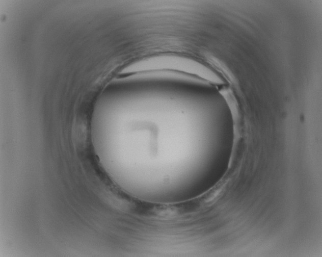 X0000073920113200609082248