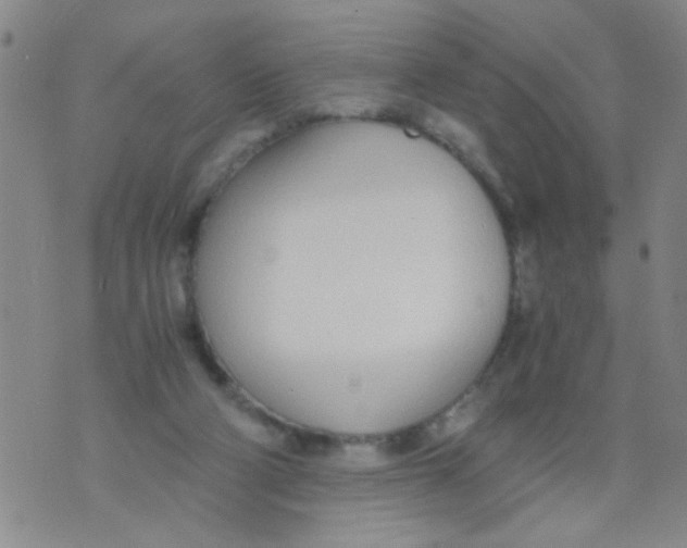 X0000073920114200609082248