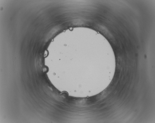 X0000073920116200609082248