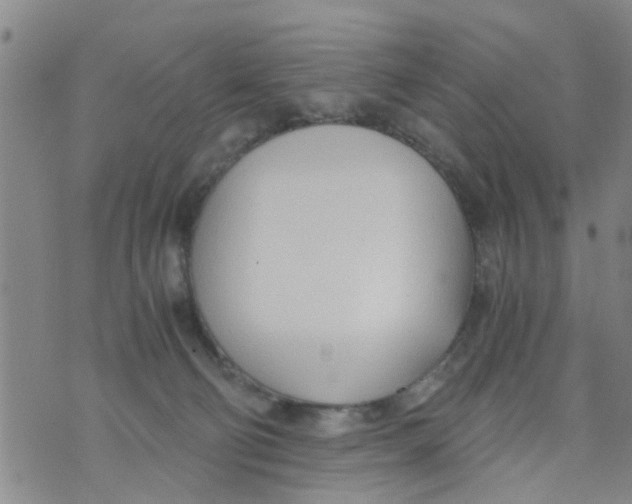 X0000073920130200609082247