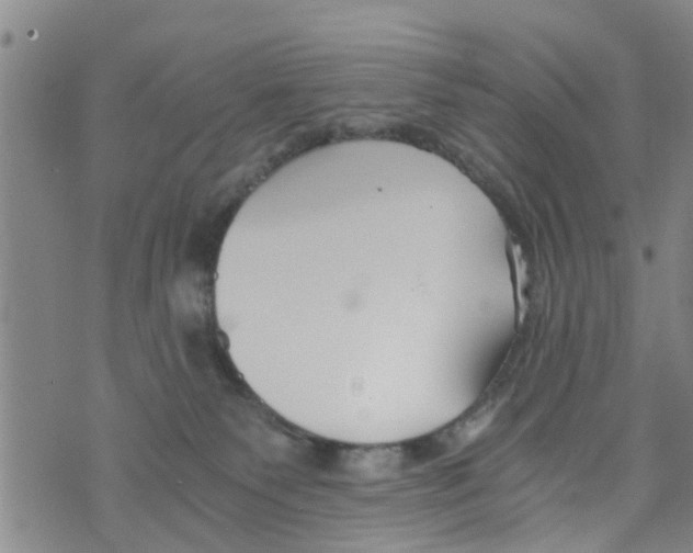 X0000073920135200609082247