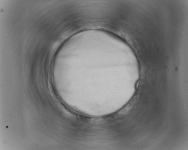 X0000073920145200609082246