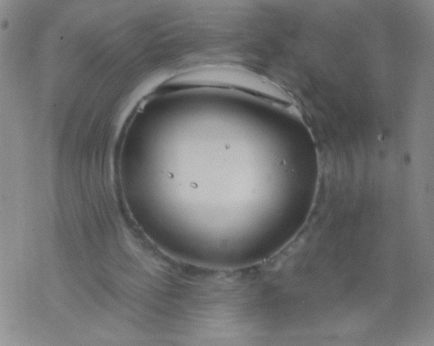 X0000073920148200609082246