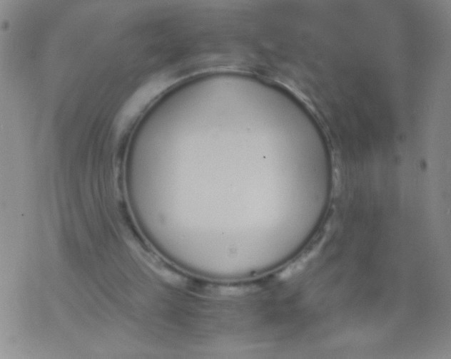 X0000073920149200609082246