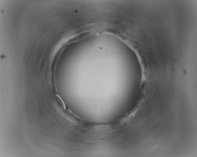 X0000073920150200609082246