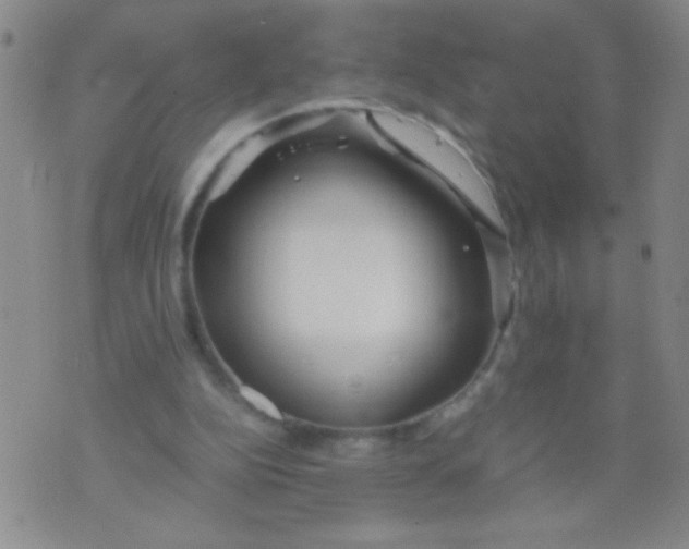 X0000073920152200609082246