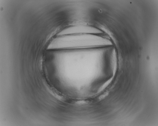 X0000073920153200609082246