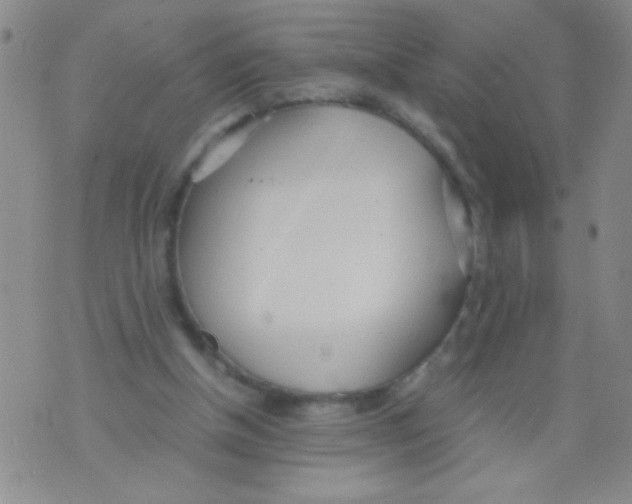 X0000073920154200609082246