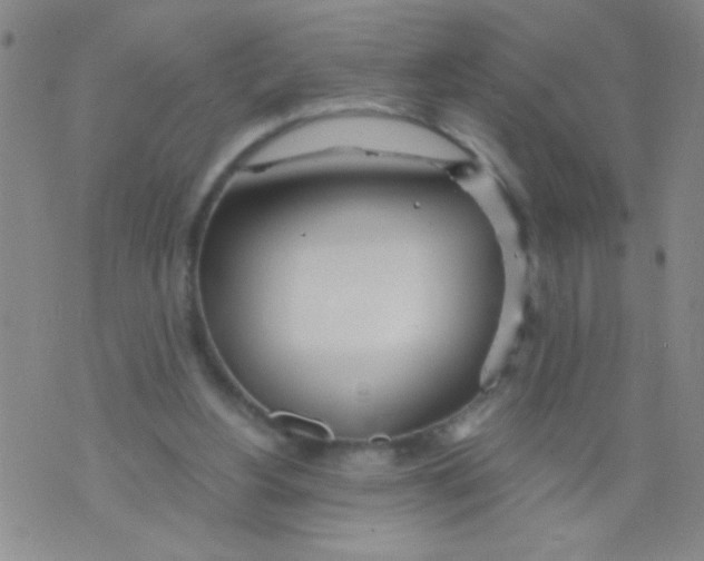 X0000073920156200609082246