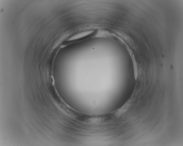 X0000073920158200609082246