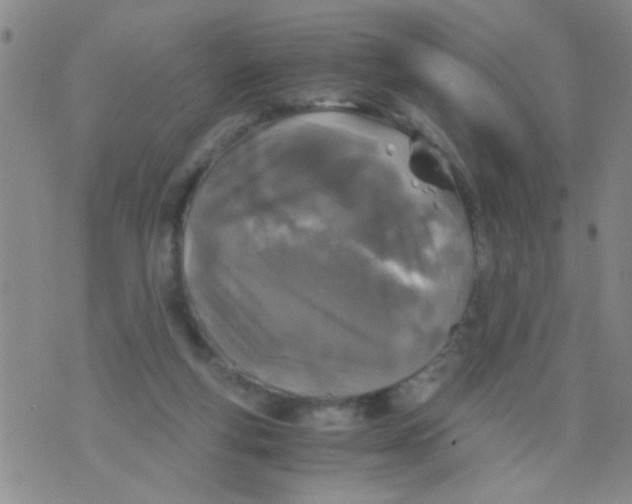 X0000073920163200609082247