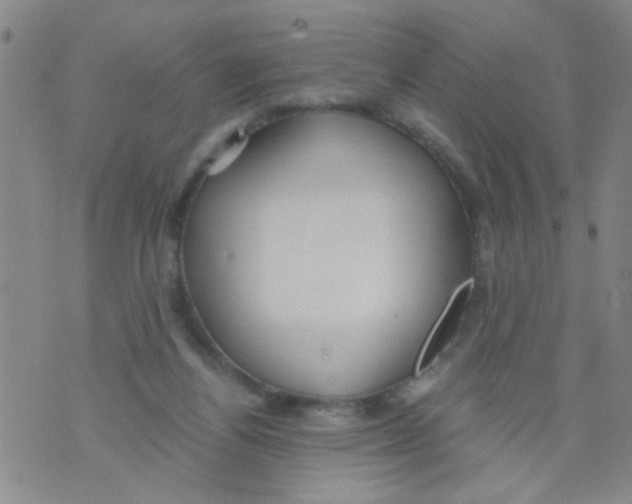 X0000073920164200609082247