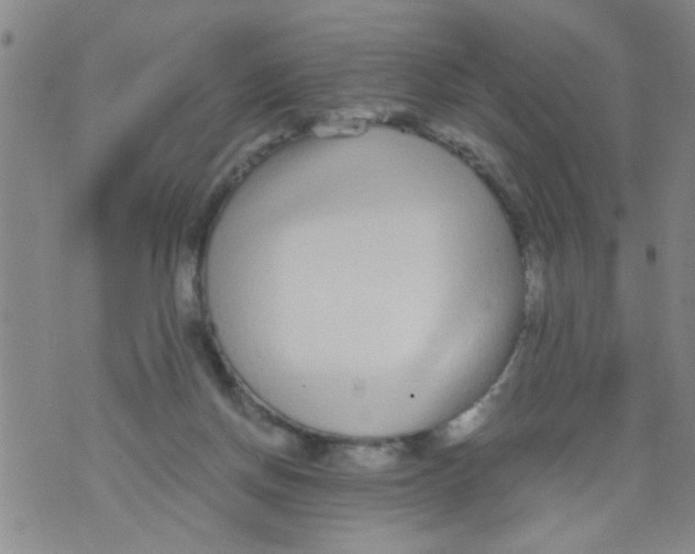 X0000073920166200609082247