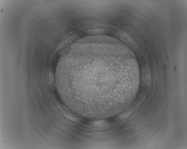 X0000073920173200609082247