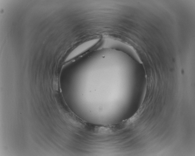 X0000073920180200609082247