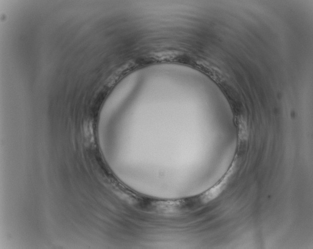 X0000073920182200609082247