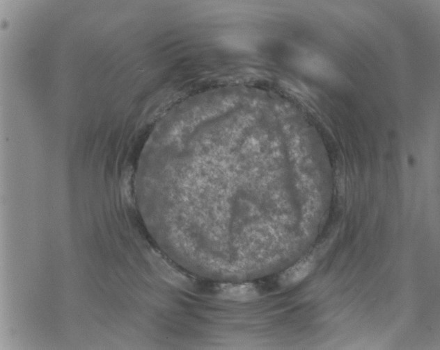 X0000073920185200609082247