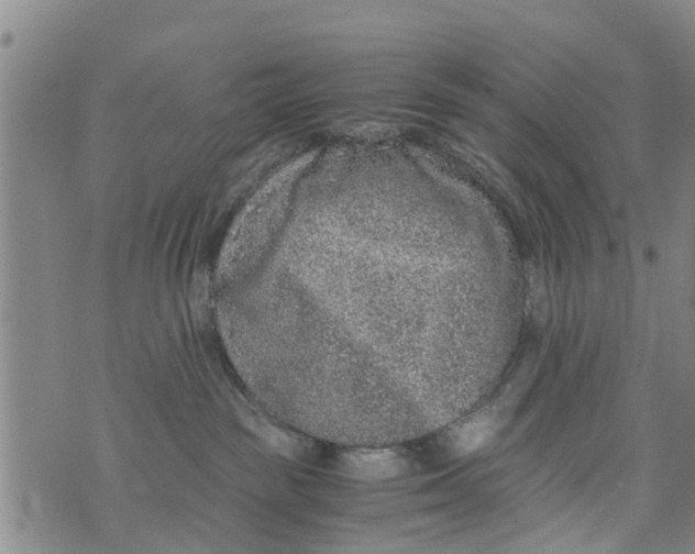 X0000073920189200609082247