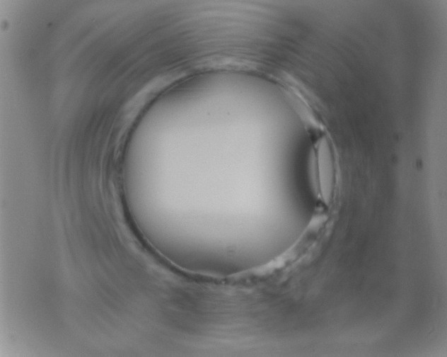 X0000073920193200609082246