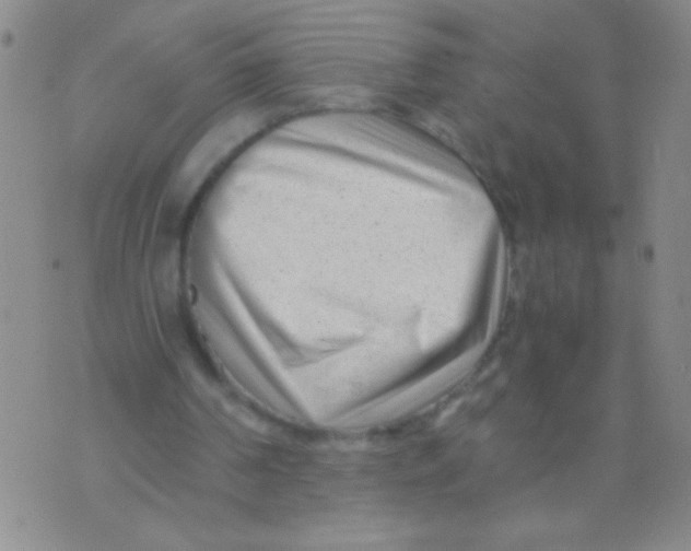 X0000073920194200609082246