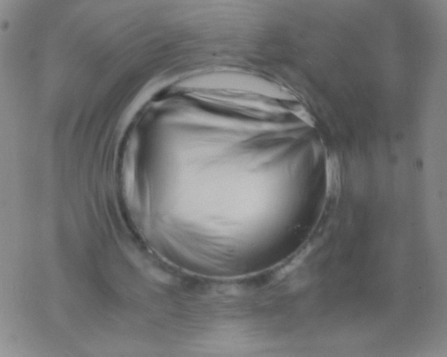 X0000073920195200609082246