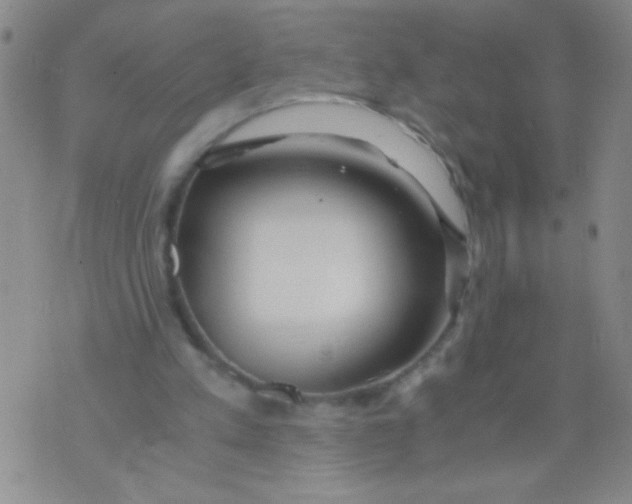 X0000073920197200609082246